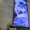 영동회관 | 충북 영동 가볼만한곳｜영동복합문화예술회관 힐링센터 솔직후기