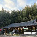 7094 | [소죽림] 대나무숲과 포토존이 예쁜 애견동반 가능 감성 한옥카페 소죽림 후기(내돈내산)