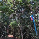 올레로하우스 이미지