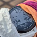 4 계절 | 트레일러닝대회 코리아50k 50km 코스답사 후기 - 4계절 경험