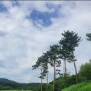 웃소농장 이미지