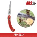 아루스 이미지