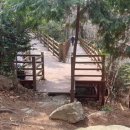 선강(하) 이미지