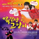 옥탑방 고양이 이미지