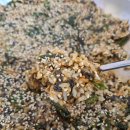 바루 감자탕 평택점 이미지