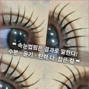 브로우수 - 진주시 | 브로우수