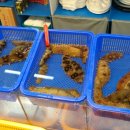 코코수산 이미지