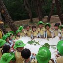 숲해설체험 이미지