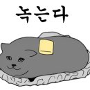 거창엔지니어링 이미지