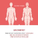 바디홀릭