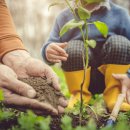백두대간 자생씨앗 아름다움에 반하다 이미지