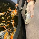 갈매유치원 | 수풀림 아쿠아카페 구리갈매점 평일낮 체험후기