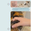 고양이호텔 무냥무냥 김해점 이미지