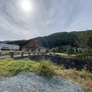 계룡산편백숲입구 이미지