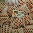 조안 농장 이미지