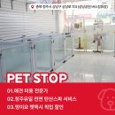 펫스탑 이미지
