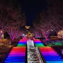 빛의 집 | 고령 가볼만한 곳｜대가야수목원 ‘눈 내리는 빛의 숲’ 솔직 후기