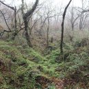 상암초교버스정류장 이미지