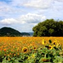 환경시설관리공사 달성사업소 이미지