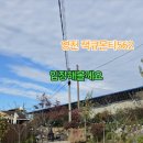 잭큐몬티562 이미지