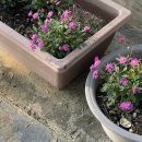 선인펜션 이미지