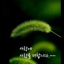 행복법무사 이미지