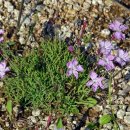 엔젤 식물원 이미지