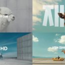 현대광고기획 이미지