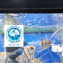 엔젤수족관 - 창원시 마산합포구 상남시장로 37 | 엔젤수족관