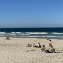 파라다이스 이미지