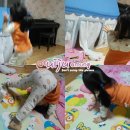 샤방샤방PC 이미지