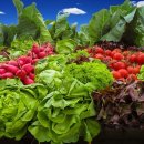 카 포인트 이미지