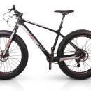 림바이크 이미지