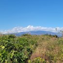 덕송부동산중개사무소 이미지