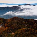 보훈 당구장 이미지