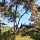 화림사 삼층석탑 이미지