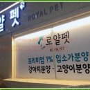 로얄펫 이미지