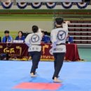 어울림태권도장 이미지