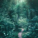 내나이가어때서 한의원 이미지