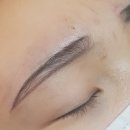 엘속눈썹 이미지