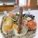 라.FRUTA 이미지