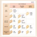 한국리바이탈 | 시세이도 리바이탈 에센스 스킨 글로우 파운데이션 리뷰, 모공 많은 수부지 리얼 사용후기