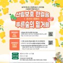 푸른숲 이미지