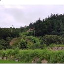 대일부동산중개사무소 이미지