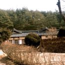 탁청정종택