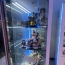 뽑아가브러 네이버블로그