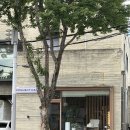 미인나헤어 | 대구 수성구 범어동 미용실 추천| 전체 염색으로 분위기 미인 만들어주는 원먼트헤어 범어점