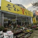 은하꽃집 이미지