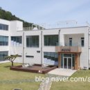 이월 송림~송림저수지 네이버블로그