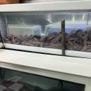 친구아나고 | 대구 아나고 곰장어 찐맛집 바다속친구들 내돈내산 후기